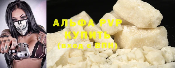 винт Абаза